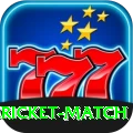 all cricket match Deluxe Pro v3.5.3