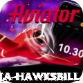antigua hawksbill Premium Plus v4.2.9