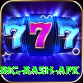bbl big bash apk Elite v3.9.2