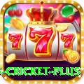 bet365 cricket Plus Gaming App