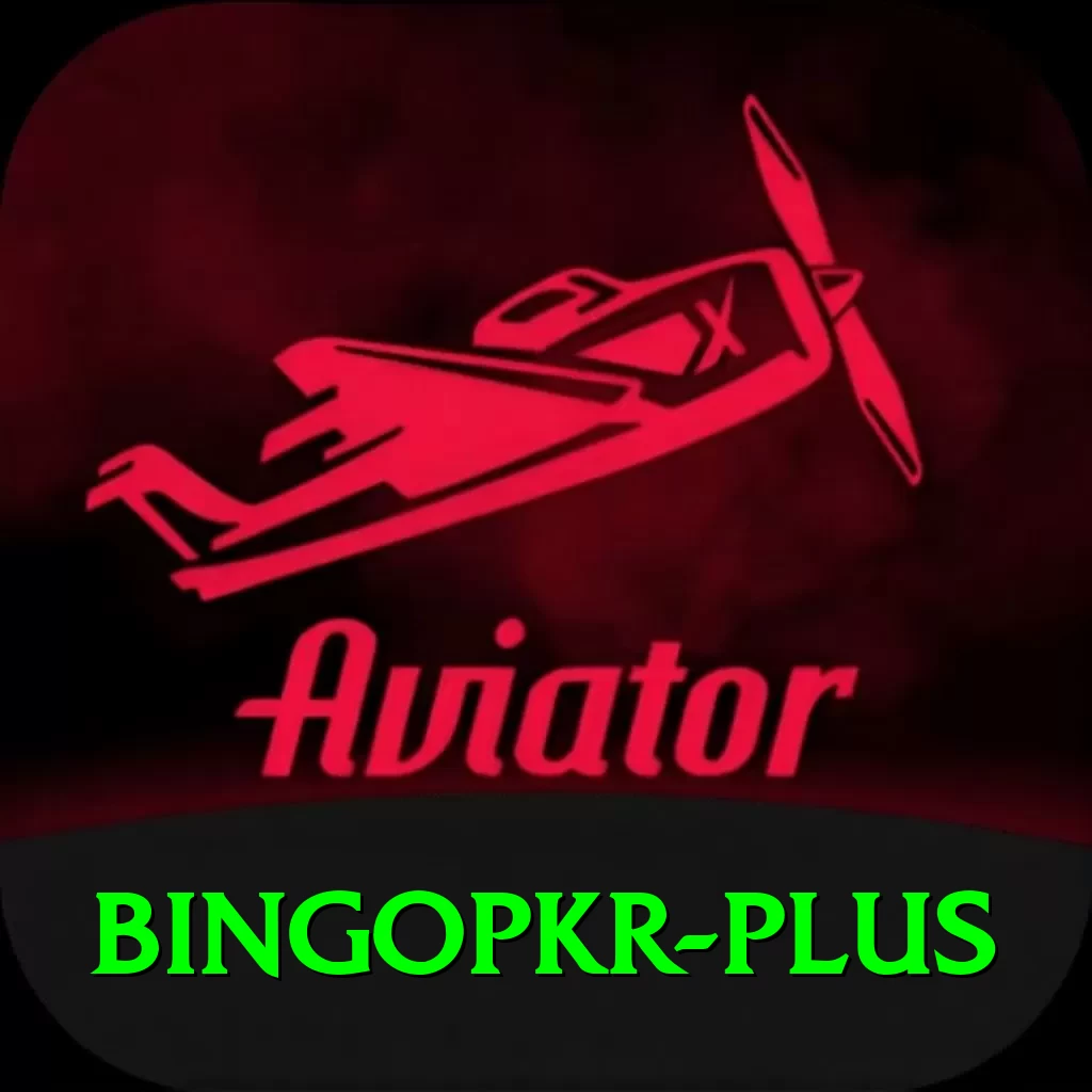 bingopkr Deluxe Pro v1.3.1 - 2