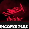 bingopkr Deluxe Pro v1.3.1