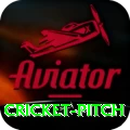 cricket pitch Apps (Tools & Injectors) Master v1.8.0