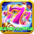 david gower Gold Pro v3.2.3