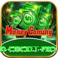england cricket Game Pro v4.3.8