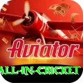 fastest ball in cricket Apps (Tools & Injectors) Premium v2.4.7