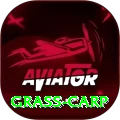 grass carp Games (Casino & Earning) Gold v4.4.7