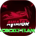 hong kong cricket team Elite Pro v2.8.2