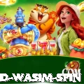 imad wasim spin Plus v5.3.8