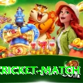 india cricket match Pro