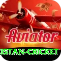 india pakistan cricket Premium Plus v5.0.6