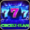 ireland cricket team Turbo Pro v1.1.4