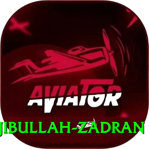 najibullah zadran Plus Edition v5.3.9 - 2