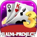 neelum jehlum project Gold Pro v2.9.6