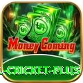 nepal cricket Slots Deluxe v5.0.7
