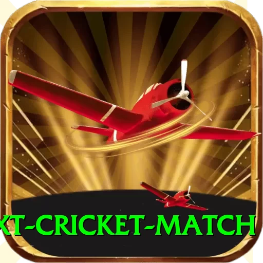next cricket match Pro Edition v3.1.3 - 2