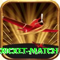 next cricket match Pro Edition v3.1.3