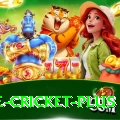 one cricket Game Ultimate v1.8.0