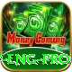 pak v eng Premium v5.4.2