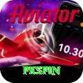 pkspin Pro Max vv2.2.5