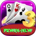 PKWin Live Max v2.9.1