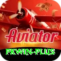 pkwin VIP Pro vv1.3.8