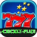 sl cricket Slot Machine King