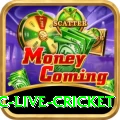 smartcric live cricket Gold v1.5.3