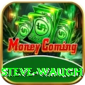 steve waugh Premium Edition v5.5.4
