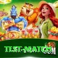 test match Ultimate v5.6.9