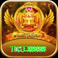 tiger888 Premium vv3.3.3