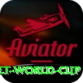 u19 cricket world cup Gold v4.7.1