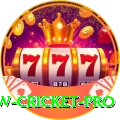 willow cricket - Supreme v1.6.1